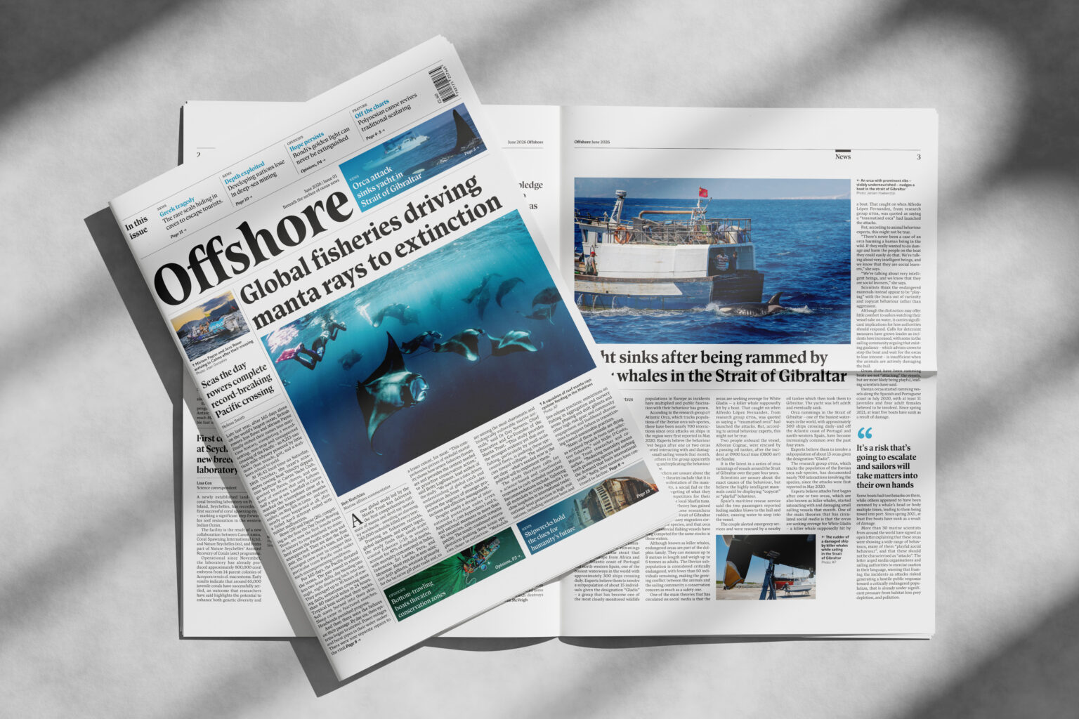 TaylorJosephine_newspaper_mockup_02 - josephine taylor