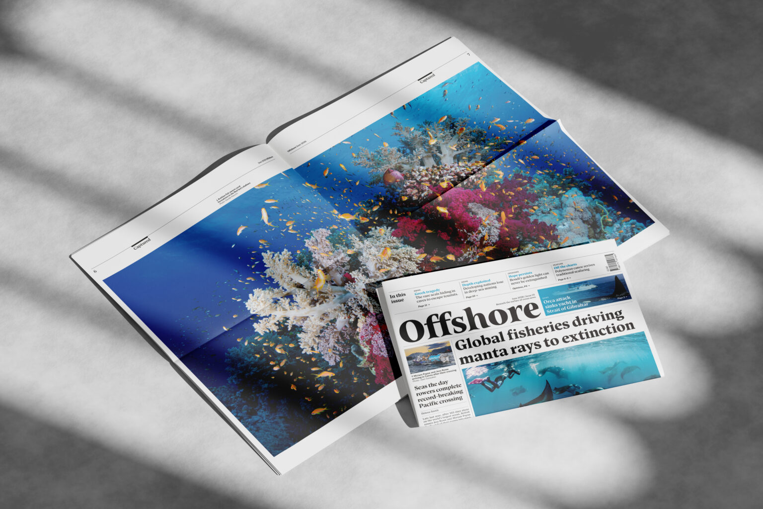 TaylorJosephine_newspaper_mockup_04 - josephine taylor