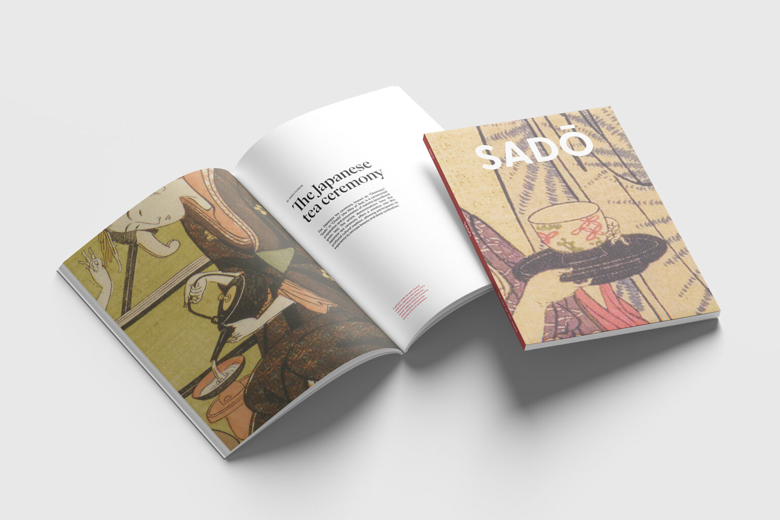 magazine_mockup - mya amin